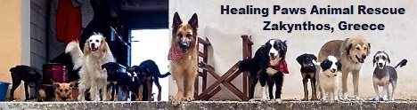 Healing Paws Animal Rescue. Zakynthos, Greece